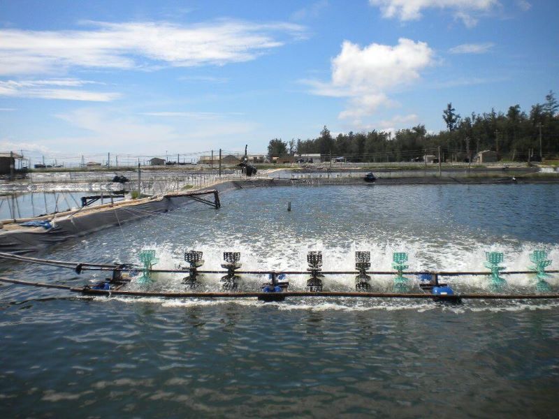 Quy định trong Luật đất đai về các loại đất