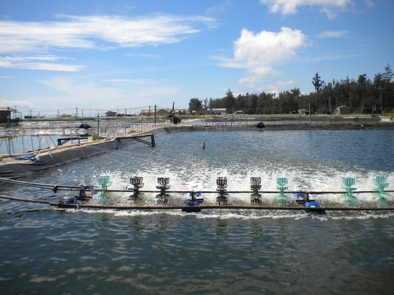 Quy định mới về đất NTS