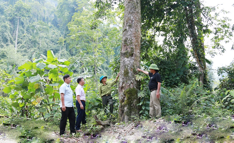 Điều kiện thứ hai