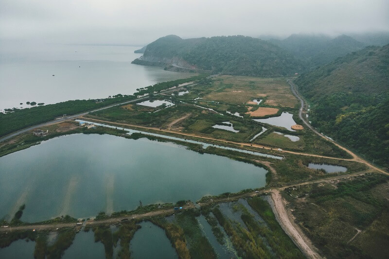 Quản lý đất mặt nước chuyên dụng