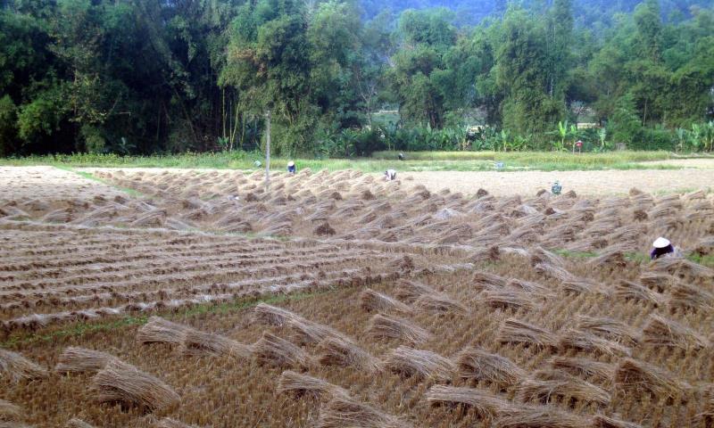 Đất sử dụng lâu dài không áp dụng các quy định về thời hạn sử dụng