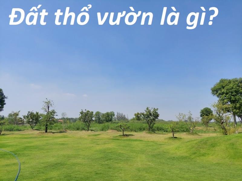 Đất thổ vườn là gì