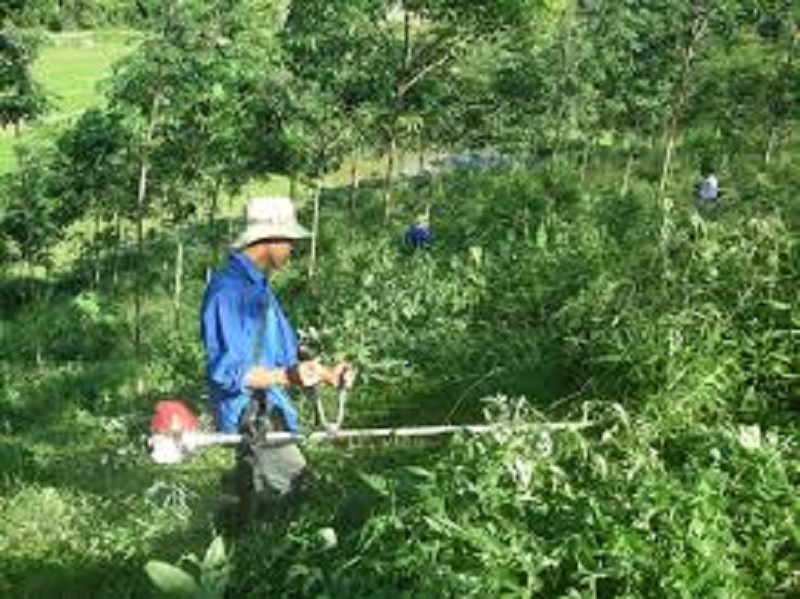 làm sao để mua đất vườn tại Quảng Ngãi 