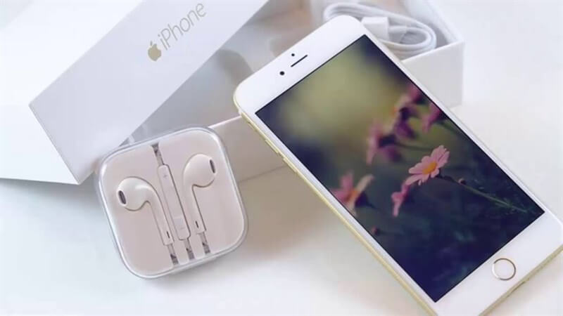 Đặc điểm nhận biết