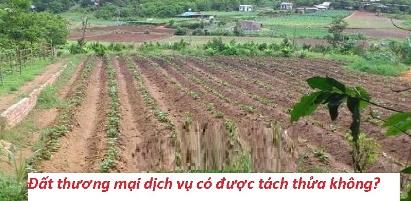 Diện tích đất sau tách thửa không được nhỏ hơn diện tích đất tối thiểu
