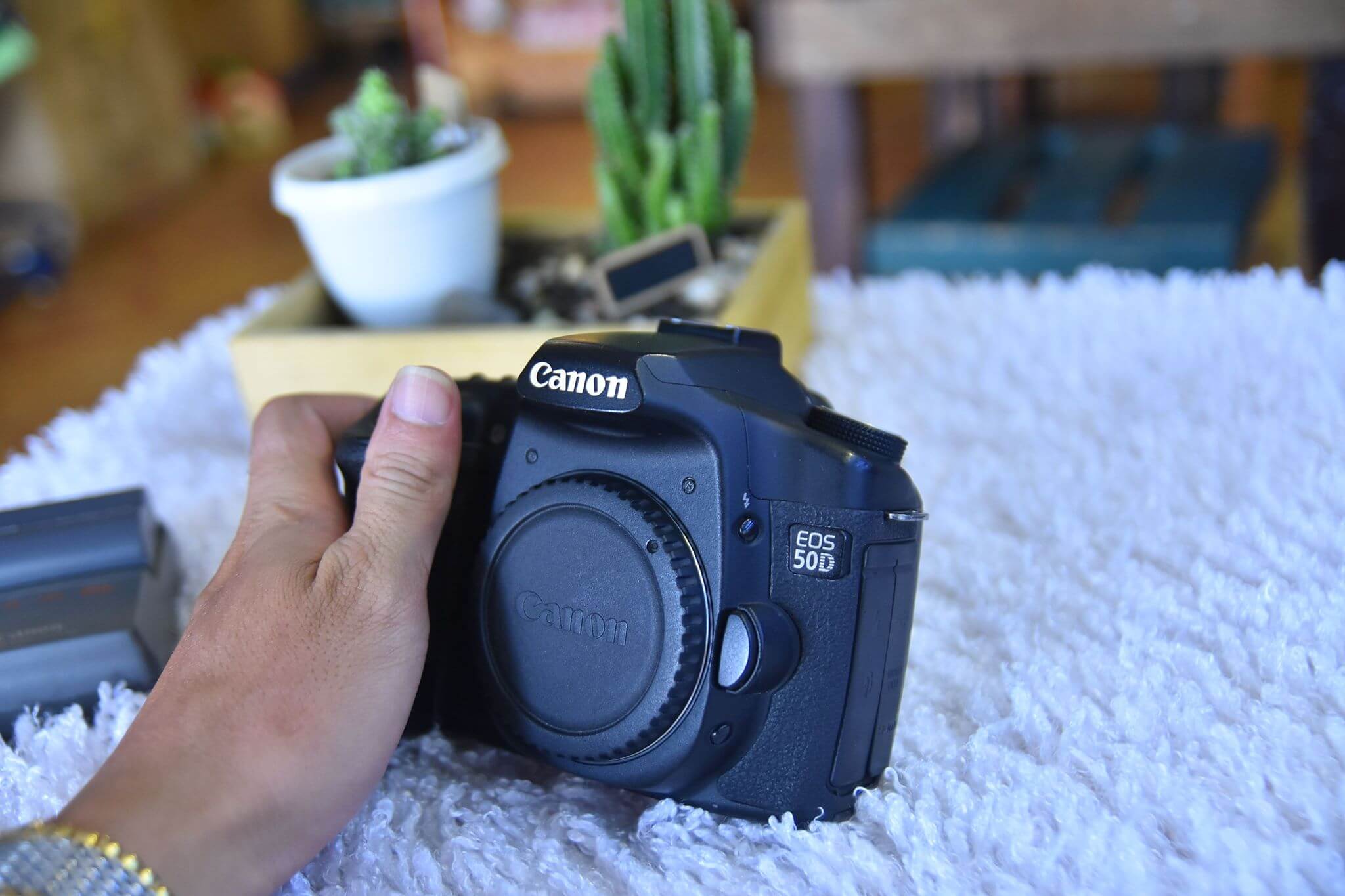 Dòng máy ảnh cũ Canon EOS 50D
