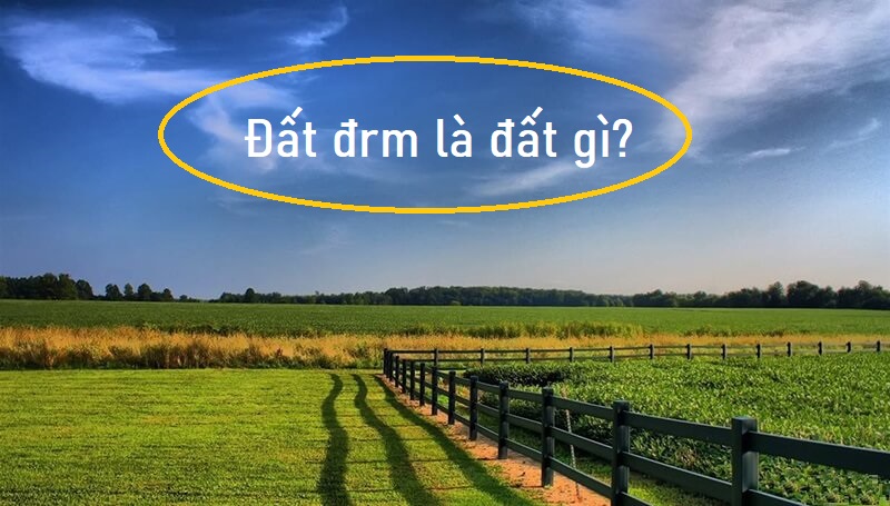 Đrm là ký hiệu của đất gì