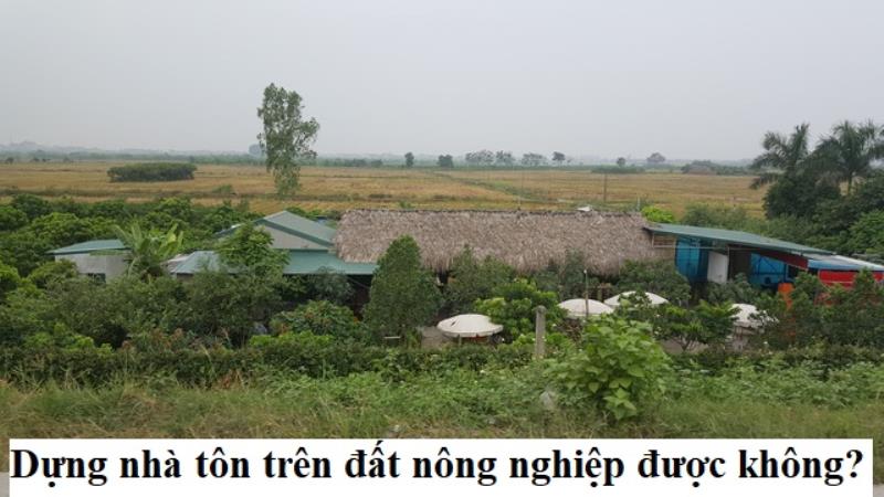 Dựng nhà tôn trên đất nông nghiệp