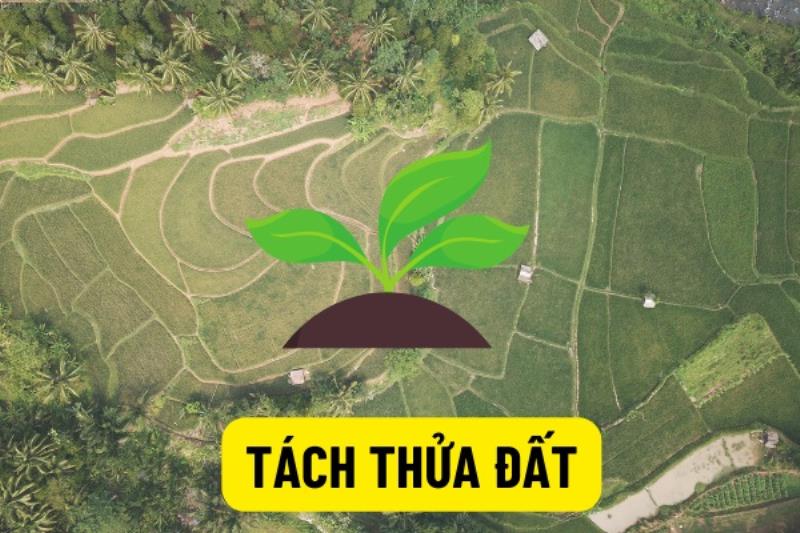 Đất hết thời hạn sử dụng không được tách thửa