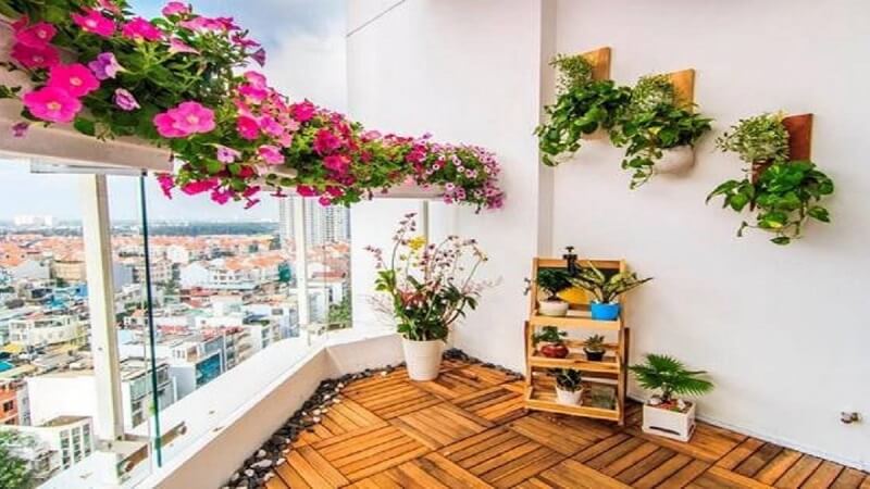 Nên chọn hoa có chiều cao trung bình và tán lá nhỏ