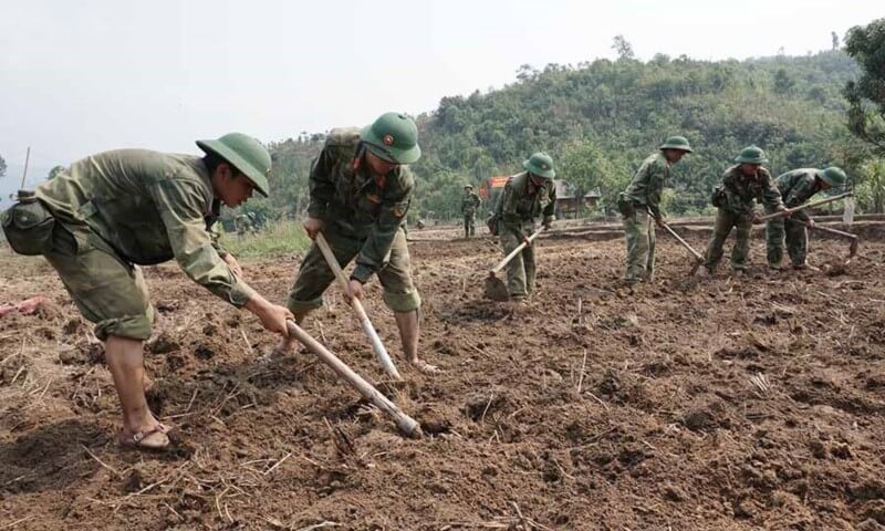 Mẫu đơn xin xác nhận đất khai hoang là gì?