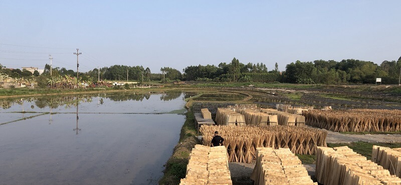 Nếu sử dụng sai mục đích ban đầu sẽ bị cưỡng chế khôi phục nguyên trạng