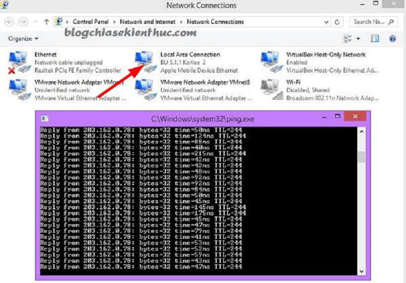 “Network connections”