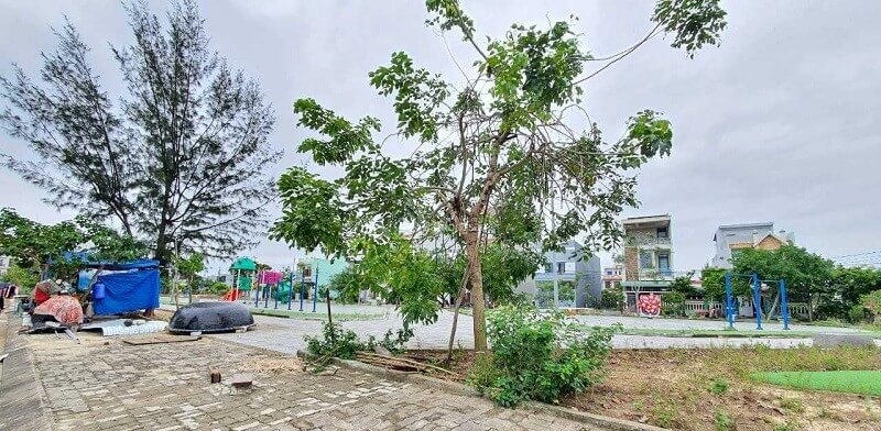 Trồng nhiều cây và hoa xung quanh nhà