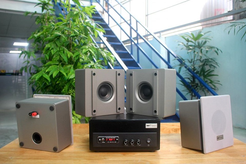 Loa vệ tinh âm trần