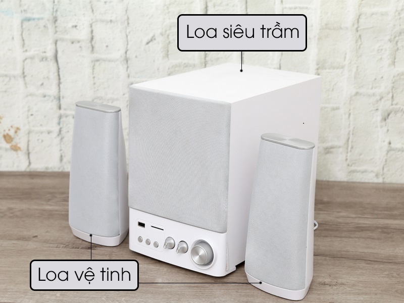 Loa vệ tinh là gì