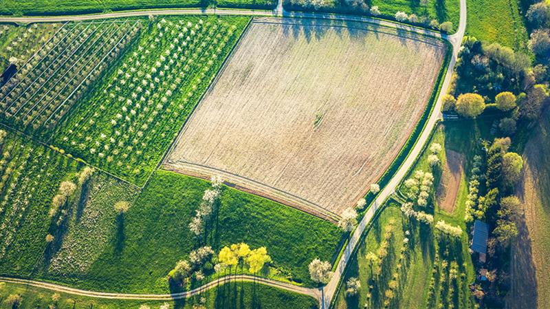 Những thủ tục chuyển đổi đất HNK lên đất thổ cư