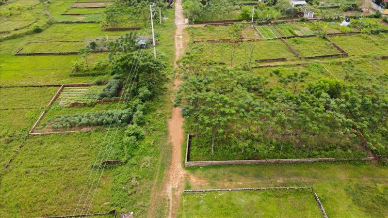 Lưu ý khi mua đất nông nghiệp