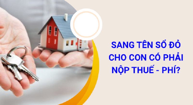 Chuyển nhượng đất cho con thì bố mẹ có cần đóng thuế không?