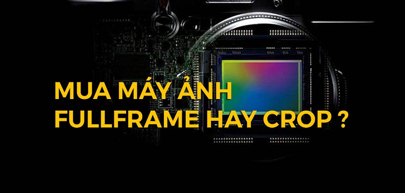 Nên lựa chọn Full Frame hay Crop