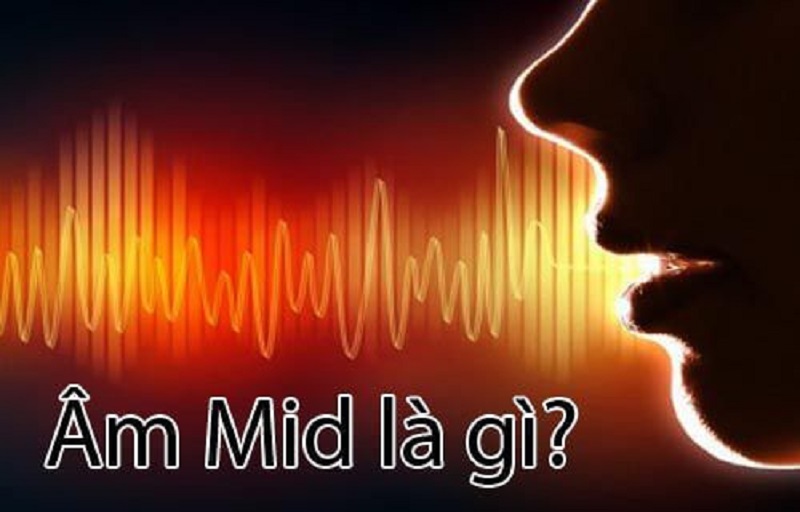 Khái niệm về Mid trong âm thanh 