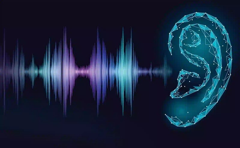 Dải tần số âm Mid là âm thanh con người có thể nghe