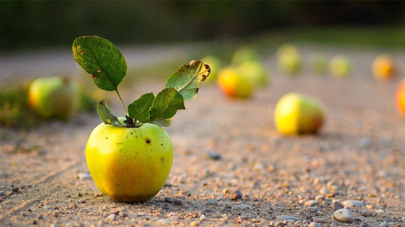 Một số đặc tính khác