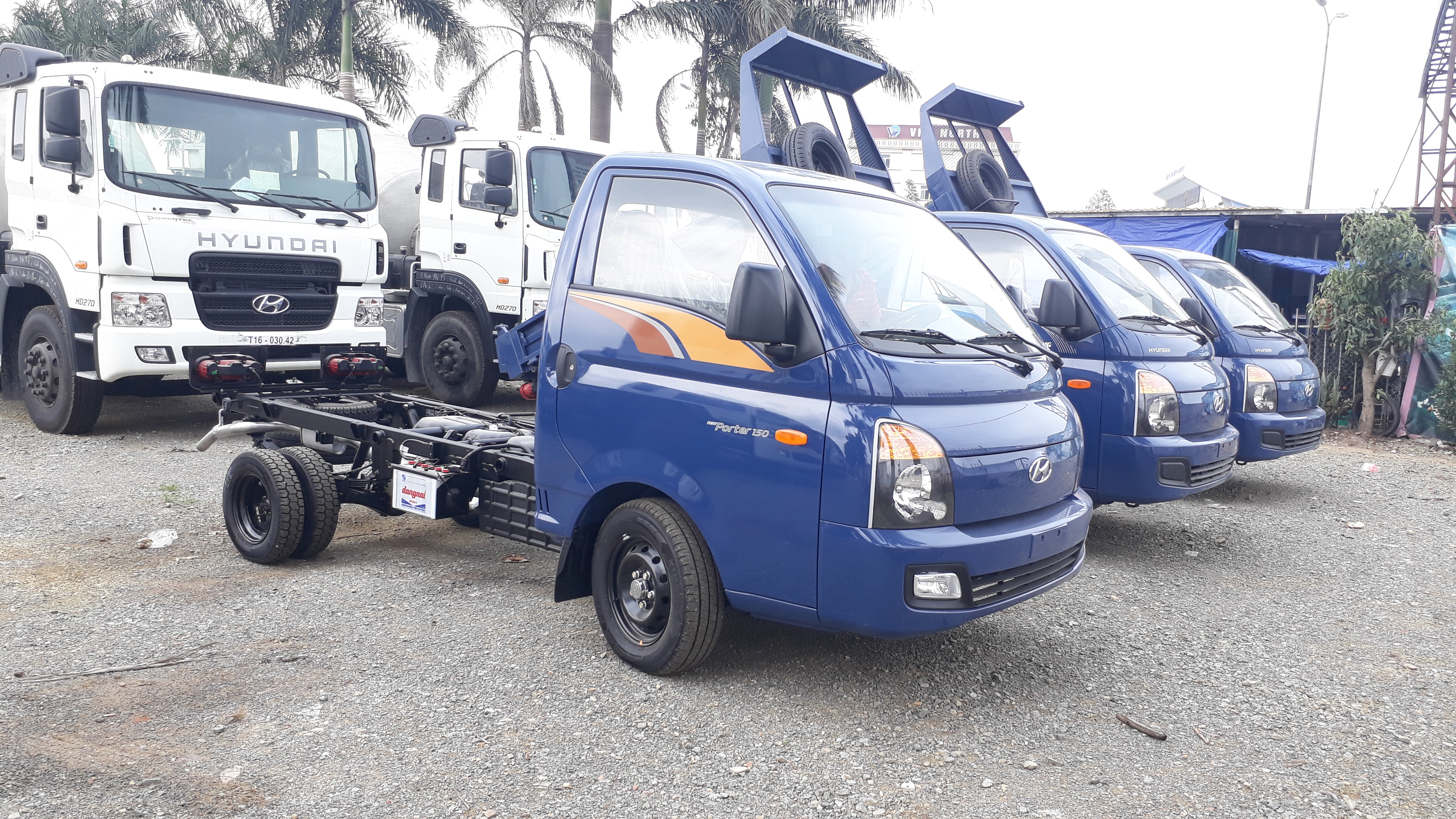 nên mua loại xe nào