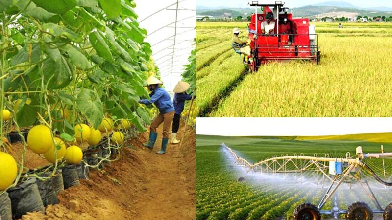 Đất ruộng là loại hình đất đai có tính chất đặc thù