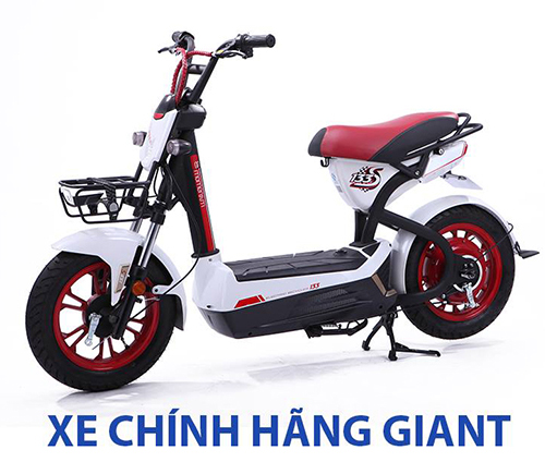 phân biệt xe đạp điện Giant 133S chính hãng và hàng giả