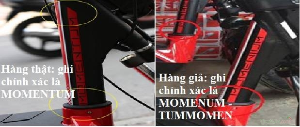 phân biệt xe đạp điện Giant 133S chính hãng và hàng giả