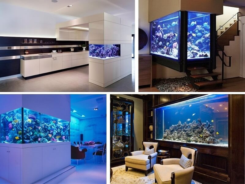 Kiêng kỵ không nên đặt bể cá cảnh sau ghế salon