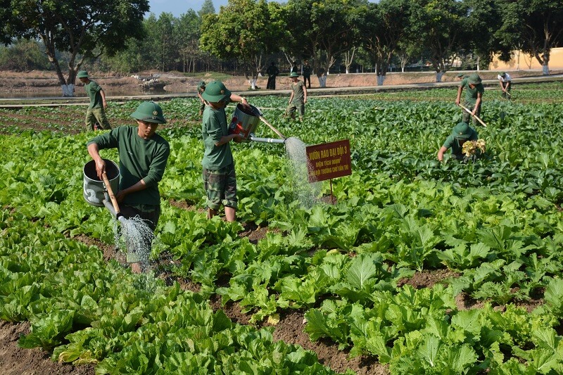 Đất dùng cho mục đích quốc phòng an ninh