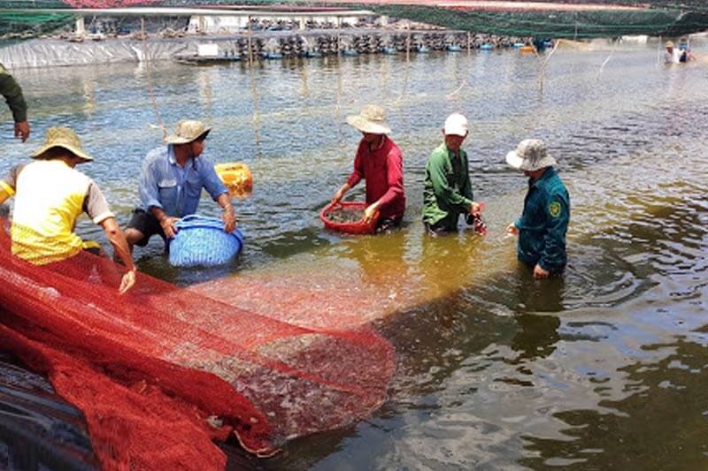 Những thông tin quy định về đất NTS