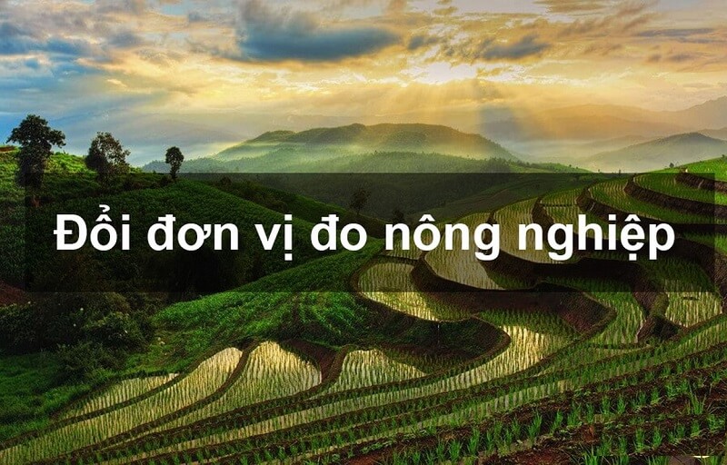 Sào ruộng và m2 - cách quy đổi theo từng vùng