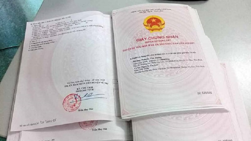 Đất 5 phần trăm cho thuê chỉ được sử dụng để canh tác nông nghiệp