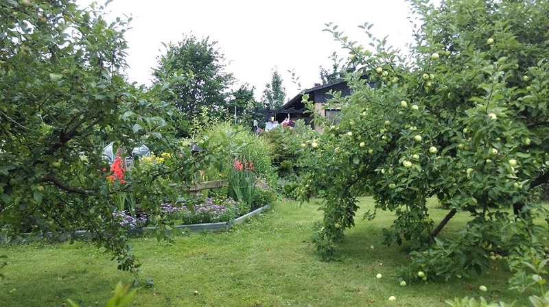 có nên mua đất giá rẻ Cần Thơ hay không