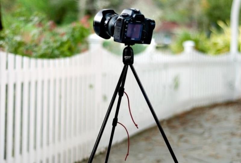 Dùng chân máy chụp ảnh