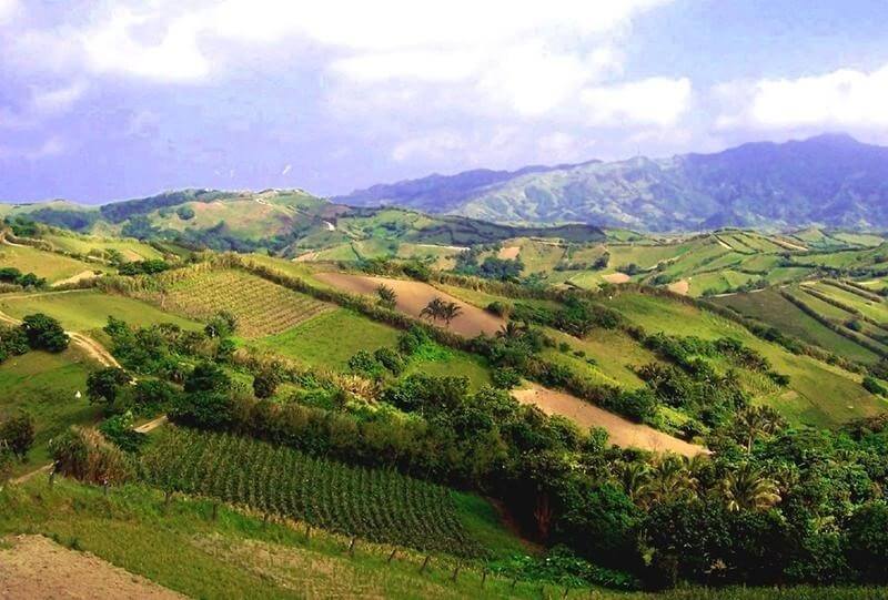 Tầm quan trọng của đơn xin cải tạo đất đồi