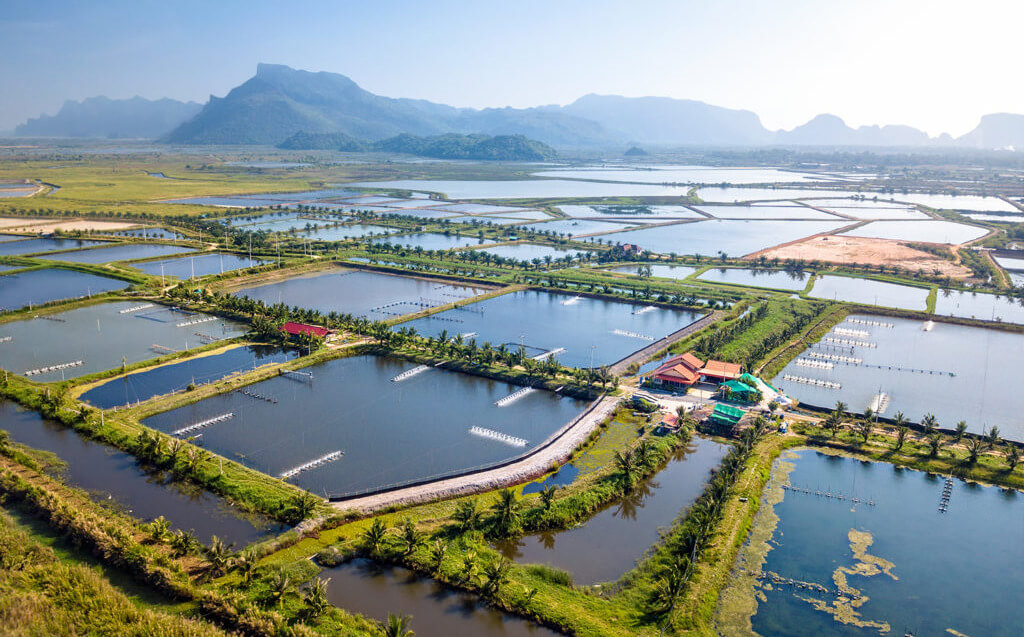 Nhận được kết quả cho việc chuyển đổi