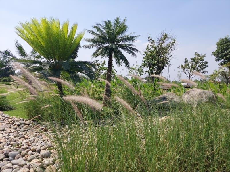 Thủ tục chuyển đổi đất thổ vườn sang đất ở