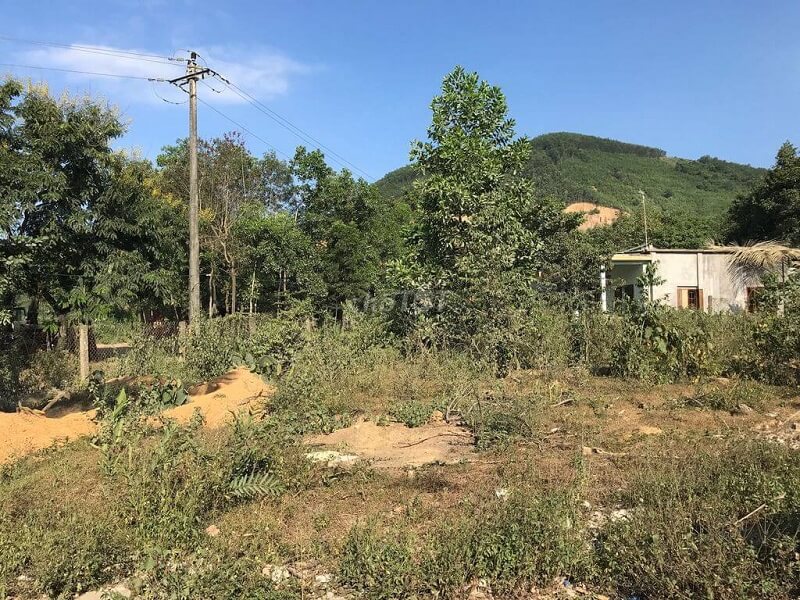 Thủ tục chuyển đổi mục đích sử dụng đất vườn thành đất để xây dựng nhà ở