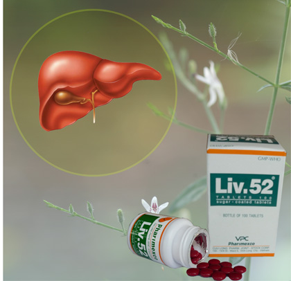 thuốc hỗ trợ chức năng gan