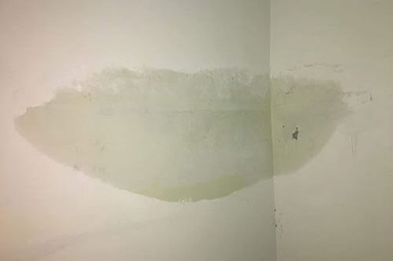 Dễ nấm mốc và sinh bệnh