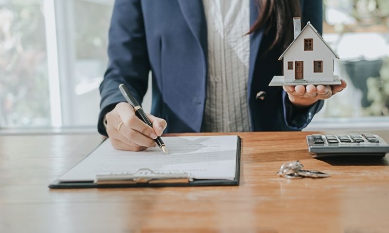 Thông tin trong trích lục đất