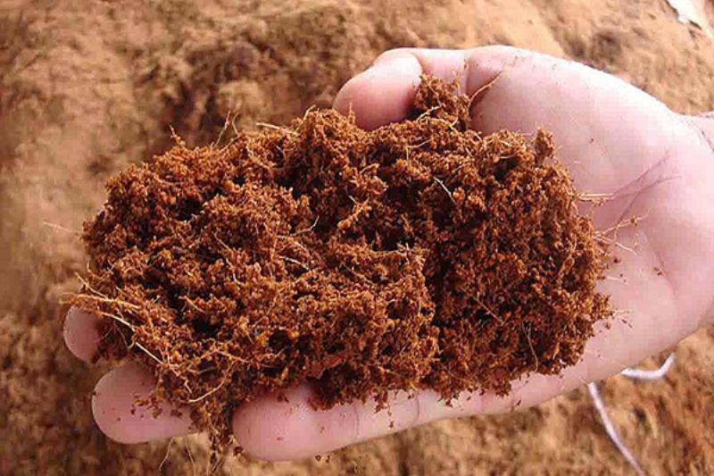 Sử dụng đất hợp sạch