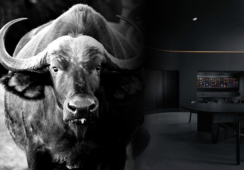 Vài lời khuyên nhỏ cho tuổi Ất Sửu chọn màu sơn hợp lý