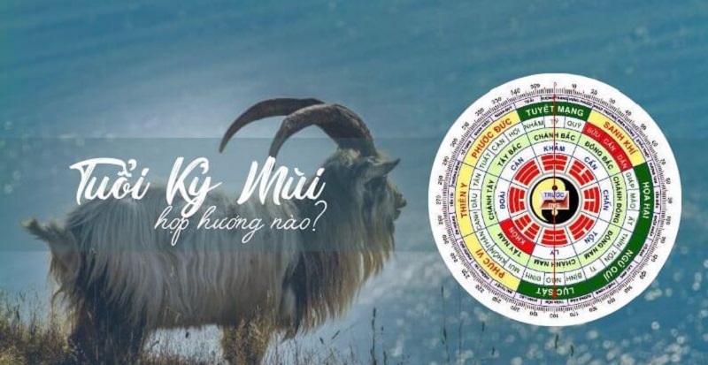 Hướng nhà tốt cho tuổi Kỷ Mùi 