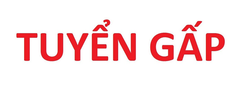 tuyển gấp