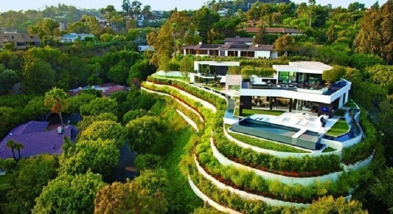 Vấn đề pháp lý